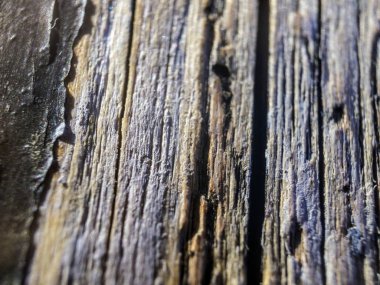 hacimsel doku nesneleri