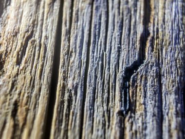 hacimsel doku nesneleri