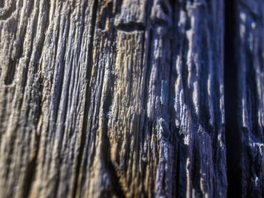 hacimsel doku nesneleri