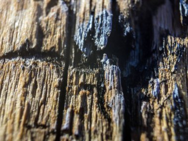 hacimsel doku nesneleri