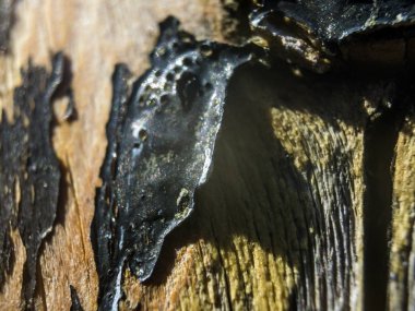 hacimsel doku nesneleri