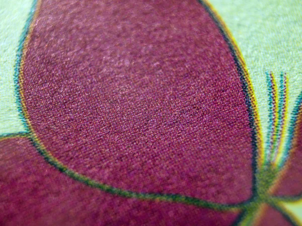 hacimsel doku nesneleri