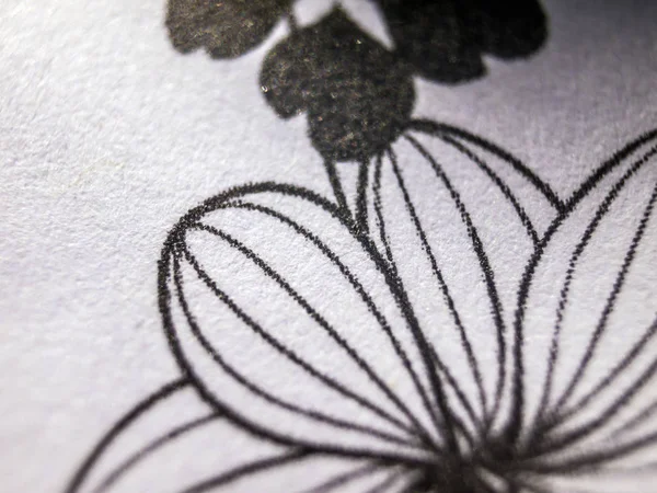 hacimsel doku nesneleri