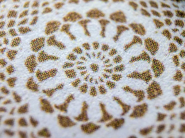 hacimsel doku nesneleri