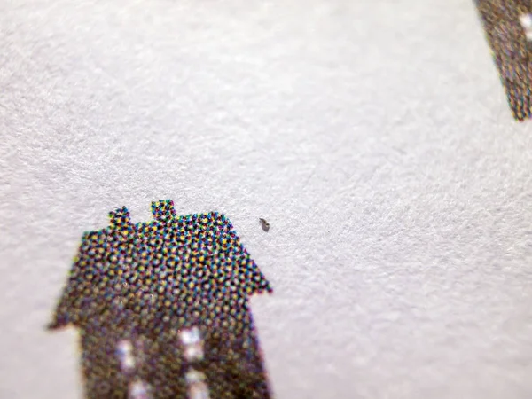 hacimsel doku nesneleri