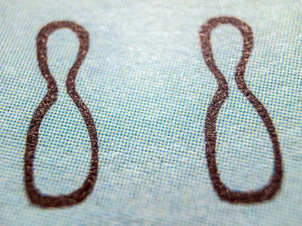 hacimsel doku nesneleri