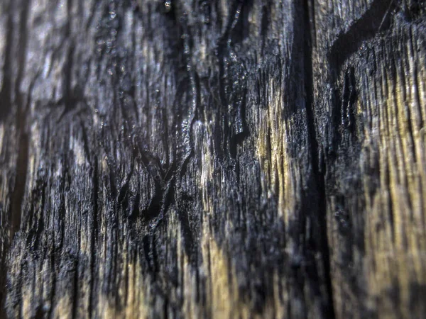 hacimsel doku nesneleri