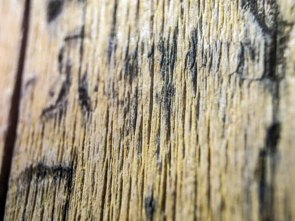 hacimsel doku nesneleri