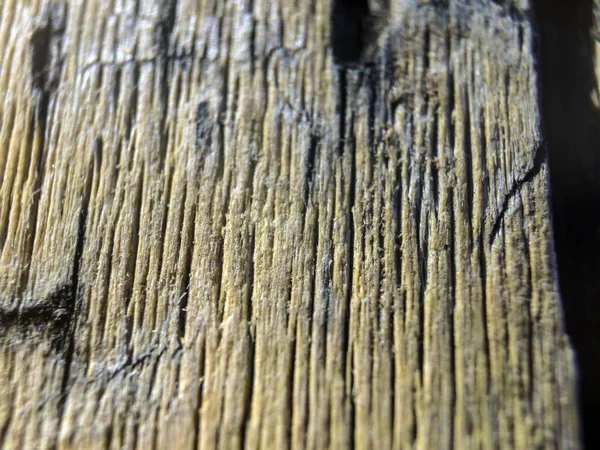 hacimsel doku nesneleri