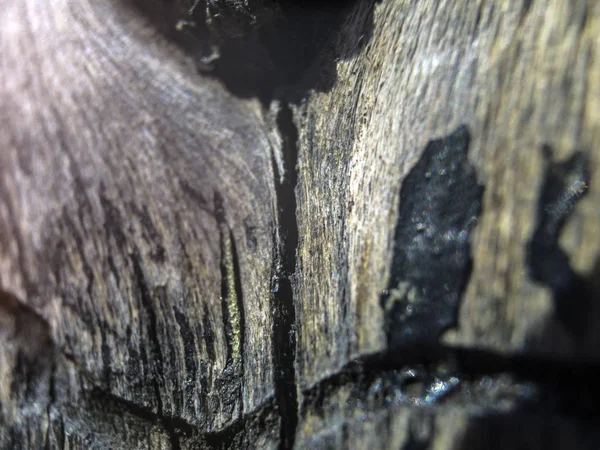 hacimsel doku nesneleri