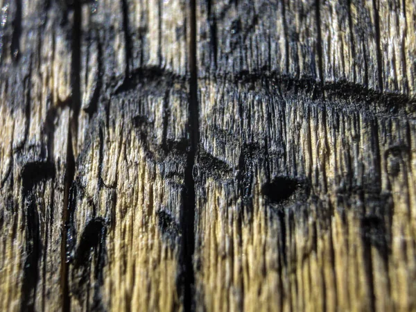 hacimsel doku nesneleri