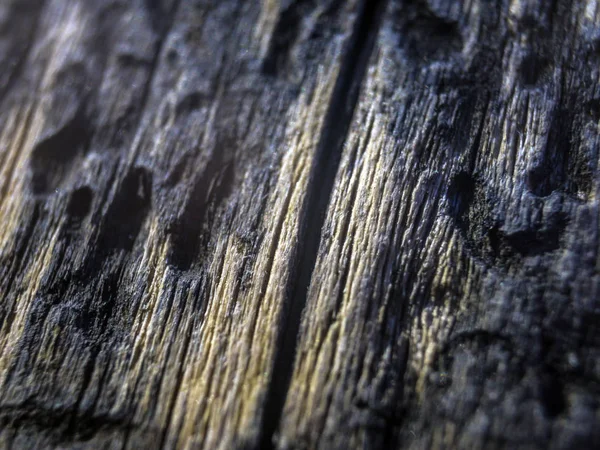 hacimsel doku nesneleri