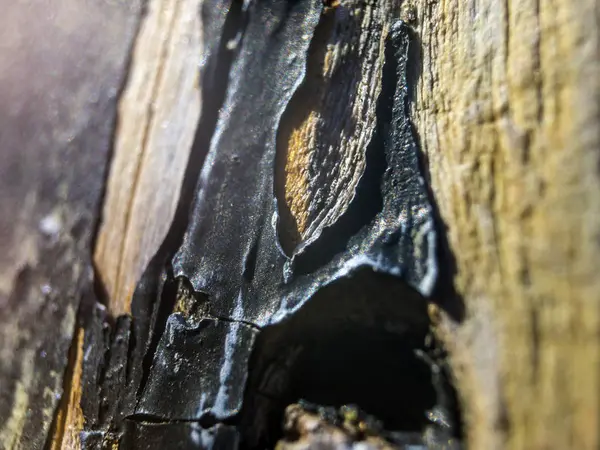 hacimsel doku nesneleri