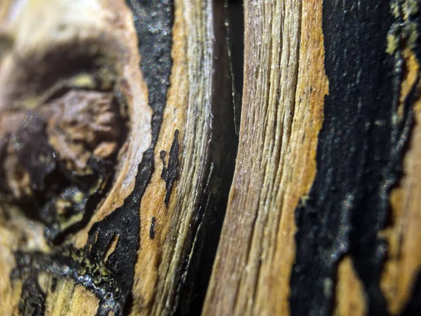 hacimsel doku nesneleri