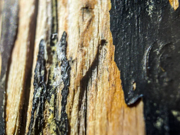 hacimsel doku nesneleri