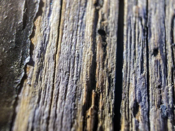 hacimsel doku nesneleri