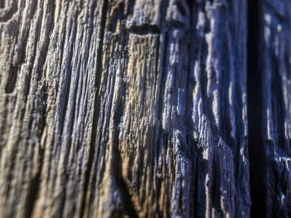 hacimsel doku nesneleri