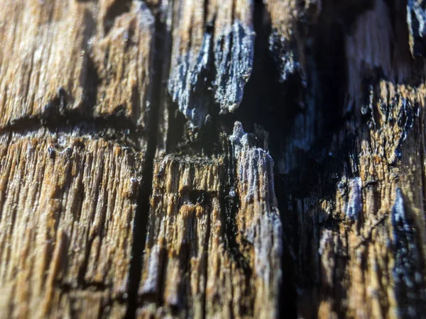 hacimsel doku nesneleri