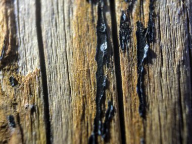 hacimsel doku nesneleri