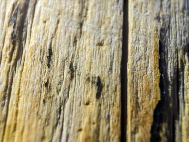 hacimsel doku nesneleri