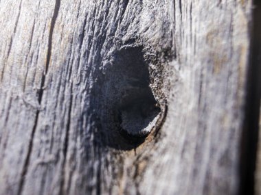 hacimsel doku nesneleri