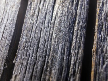 hacimsel doku nesneleri