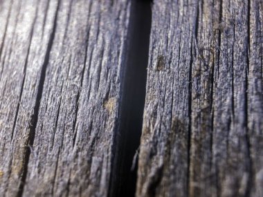 hacimsel doku nesneleri