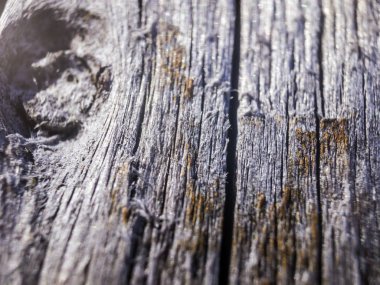 hacimsel doku nesneleri