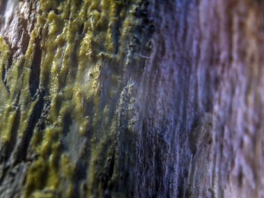 hacimsel doku nesneleri