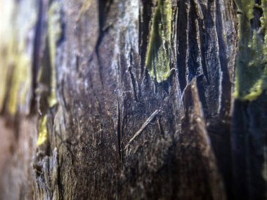 hacimsel doku nesneleri