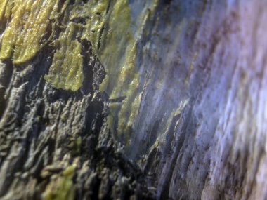 hacimsel doku nesneleri