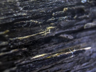 hacimsel doku nesneleri