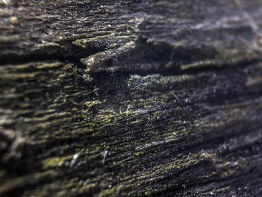 hacimsel doku nesneleri