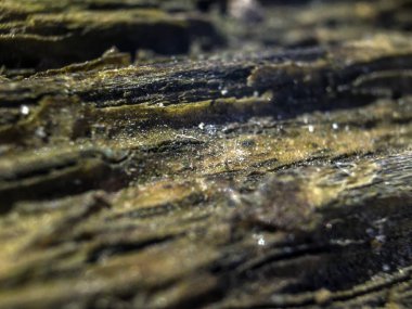 hacimsel doku nesneleri