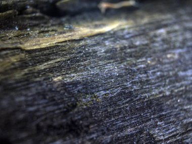 hacimsel doku nesneleri