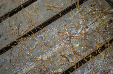 hacimsel doku nesneleri