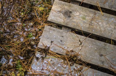 hacimsel doku nesneleri