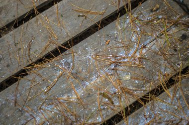 hacimsel doku nesneleri