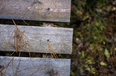 hacimsel doku nesneleri