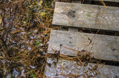 hacimsel doku nesneleri