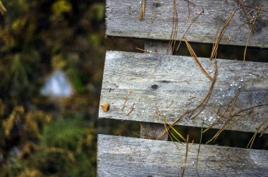 hacimsel doku nesneleri