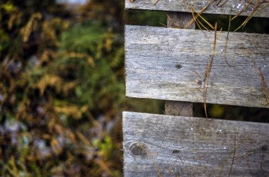 hacimsel doku nesneleri