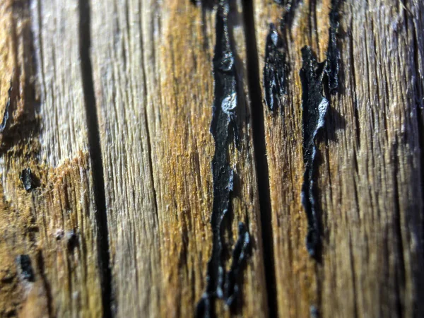 hacimsel doku nesneleri