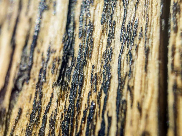 hacimsel doku nesneleri