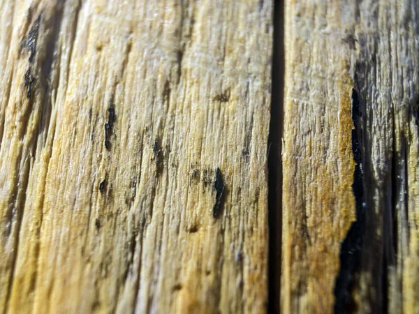 hacimsel doku nesneleri