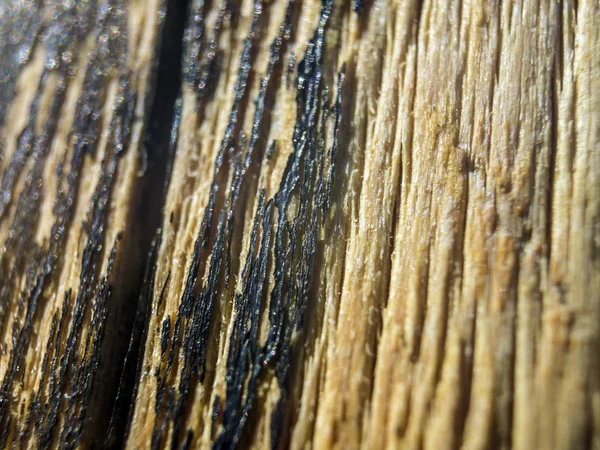 hacimsel doku nesneleri