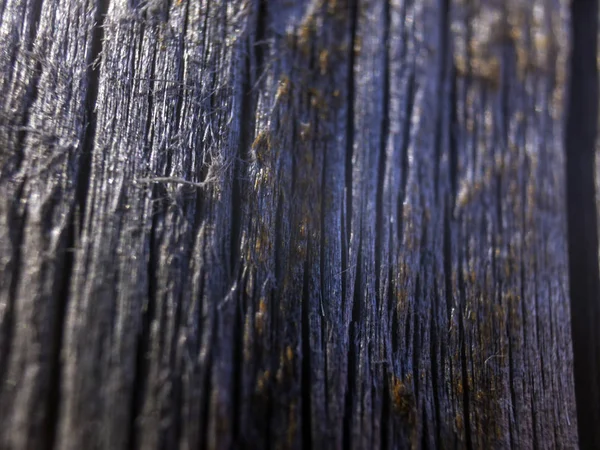 hacimsel doku nesneleri