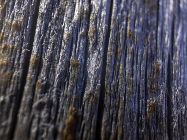 hacimsel doku nesneleri