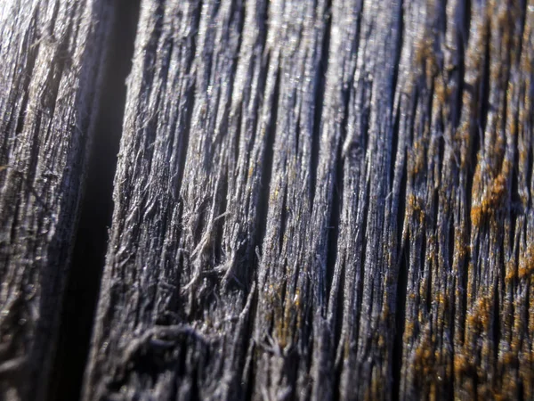 hacimsel doku nesneleri