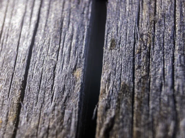 hacimsel doku nesneleri